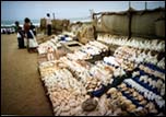 A seashell stall